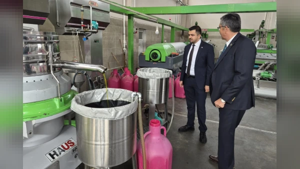Anahtar Parti'den Akhisar'da zeytin üreticilerine ziyaret