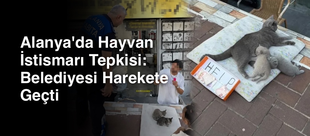 Alanya'da Hayvan İstismarı Tepkisi: Belediyesi Harekete Geçti