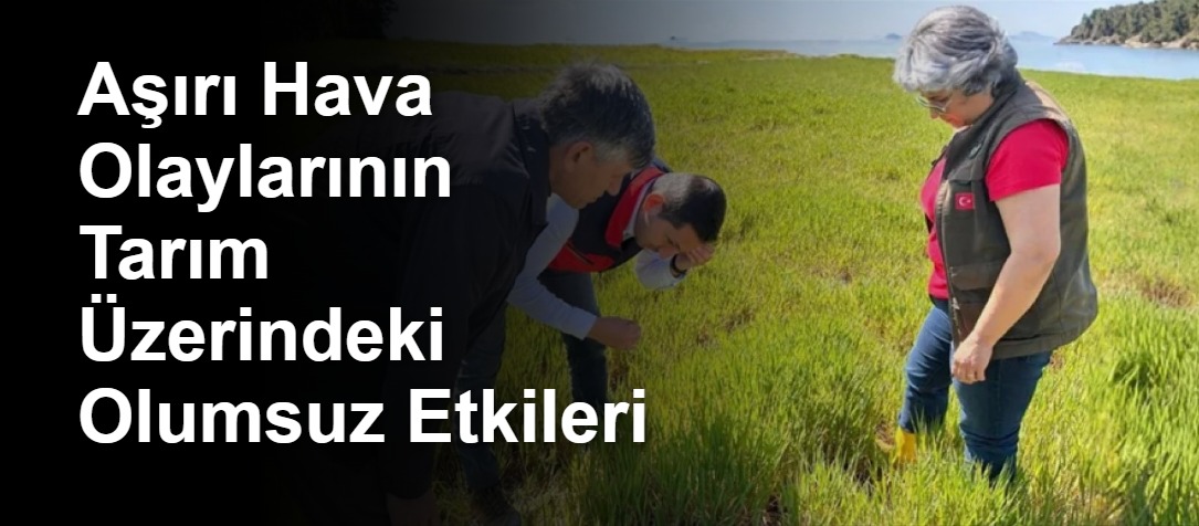 Aşırı Hava Olaylarının Tarım Üzerindeki Olumsuz Etkileri
