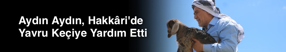 Aydın Aydın, Hakkâri'de Yavru Keçiye Yardım Etti