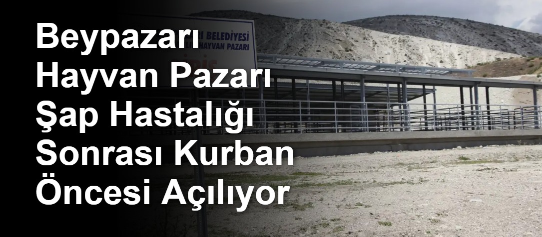 Beypazarı Hayvan Pazarı Şap Hastalığı Sonrası Kurban Öncesi Açılıyor