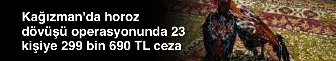 Kağızman'da horoz dövüşü operasyonunda 23 kişiye 299 bin 690 TL ceza