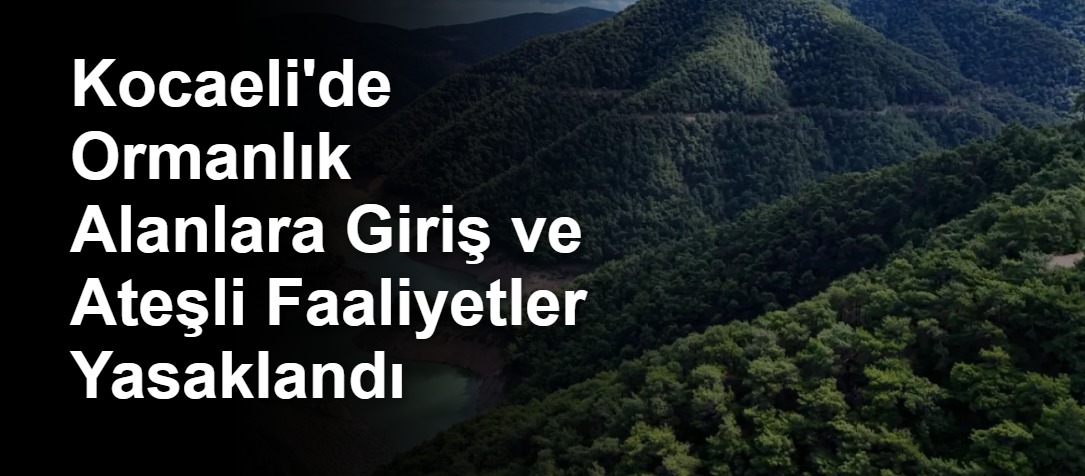 Kocaeli'de Ormanlık Alanlara Giriş ve Ateşli Faaliyetler Yasaklandı