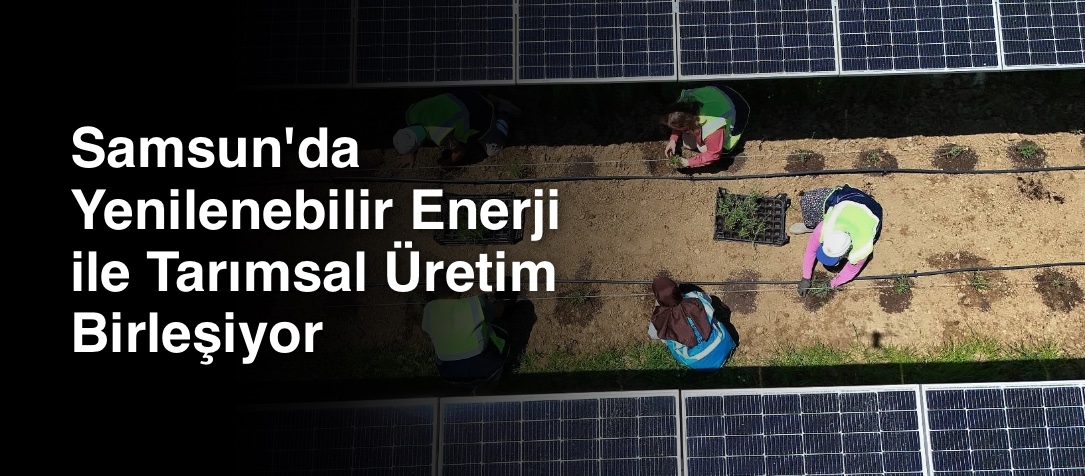 Samsun'da Yenilenebilir Enerji ile Tarımsal Üretim Birleşiyor