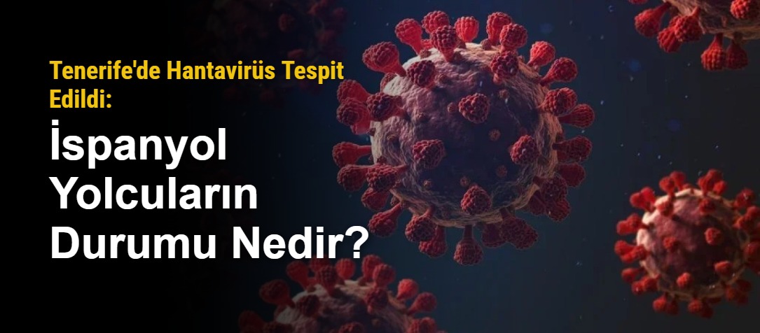 Tenerife'de Hantavirüs Tespit Edildi: İspanyol Yolcuların Durumu Nedir?