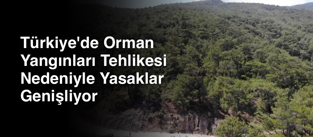 Türkiye'de Orman Yangınları Tehlikesi Nedeniyle Yasaklar Genişliyor