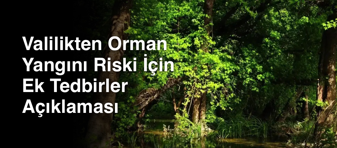 Valilikten Orman Yangını Riski İçin Ek Tedbirler Açıklaması