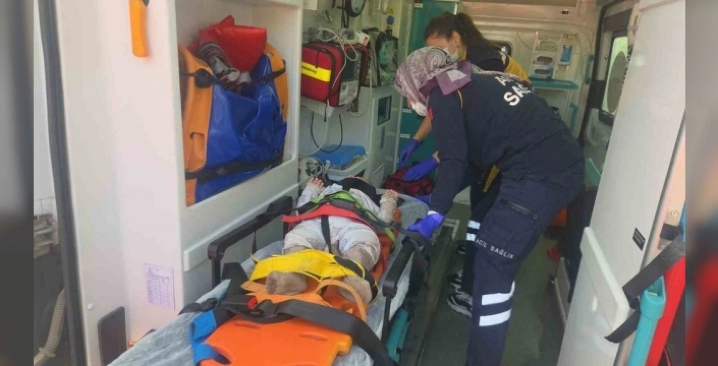 Bursa'da feci kaza: Zeytinliğe uçup alev alan otomobilde 1 kişi hayatını kaybetti, 5 yaralı!