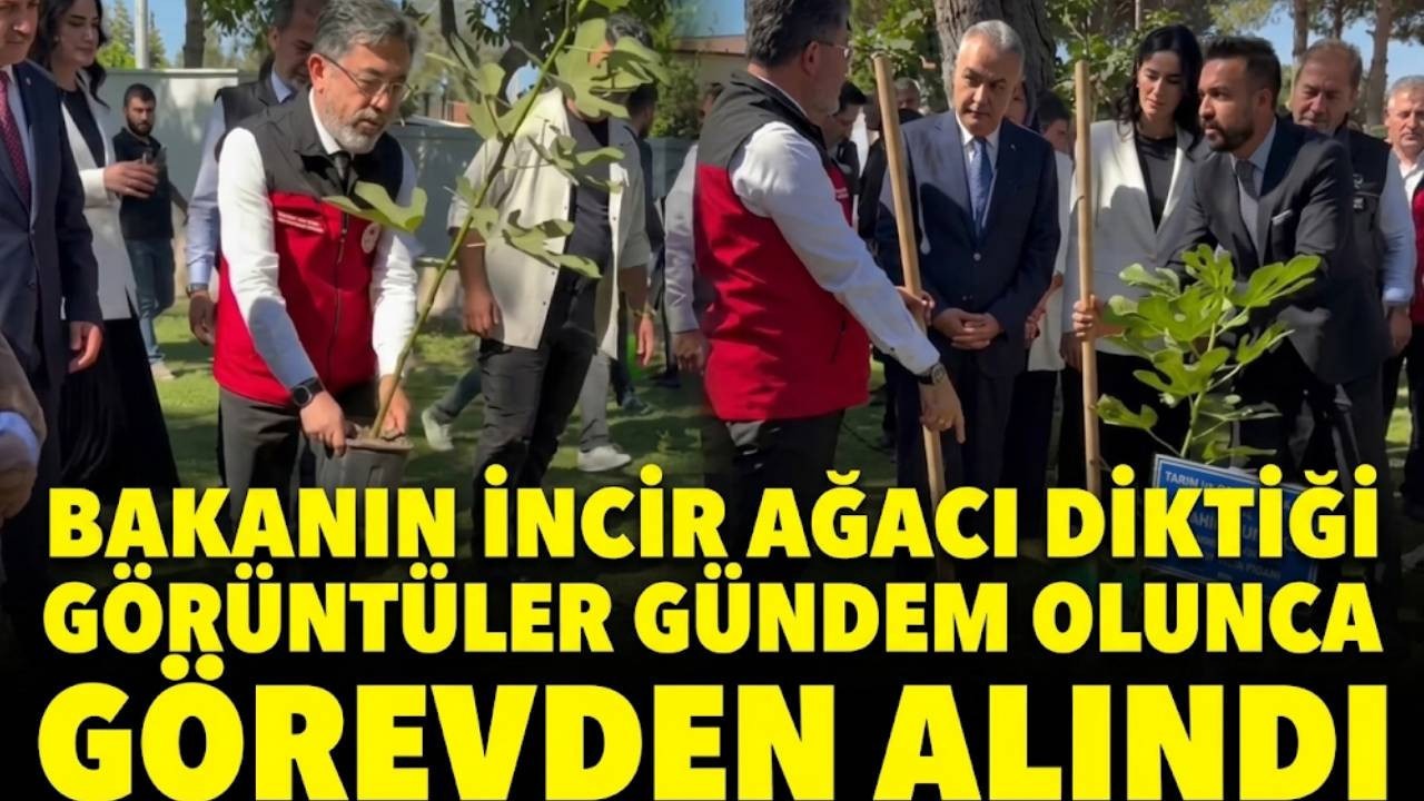 Saksılı Fidan Dikimi Gündem Olmuştu: Bakanlıkta Protokol Görevden Alındı