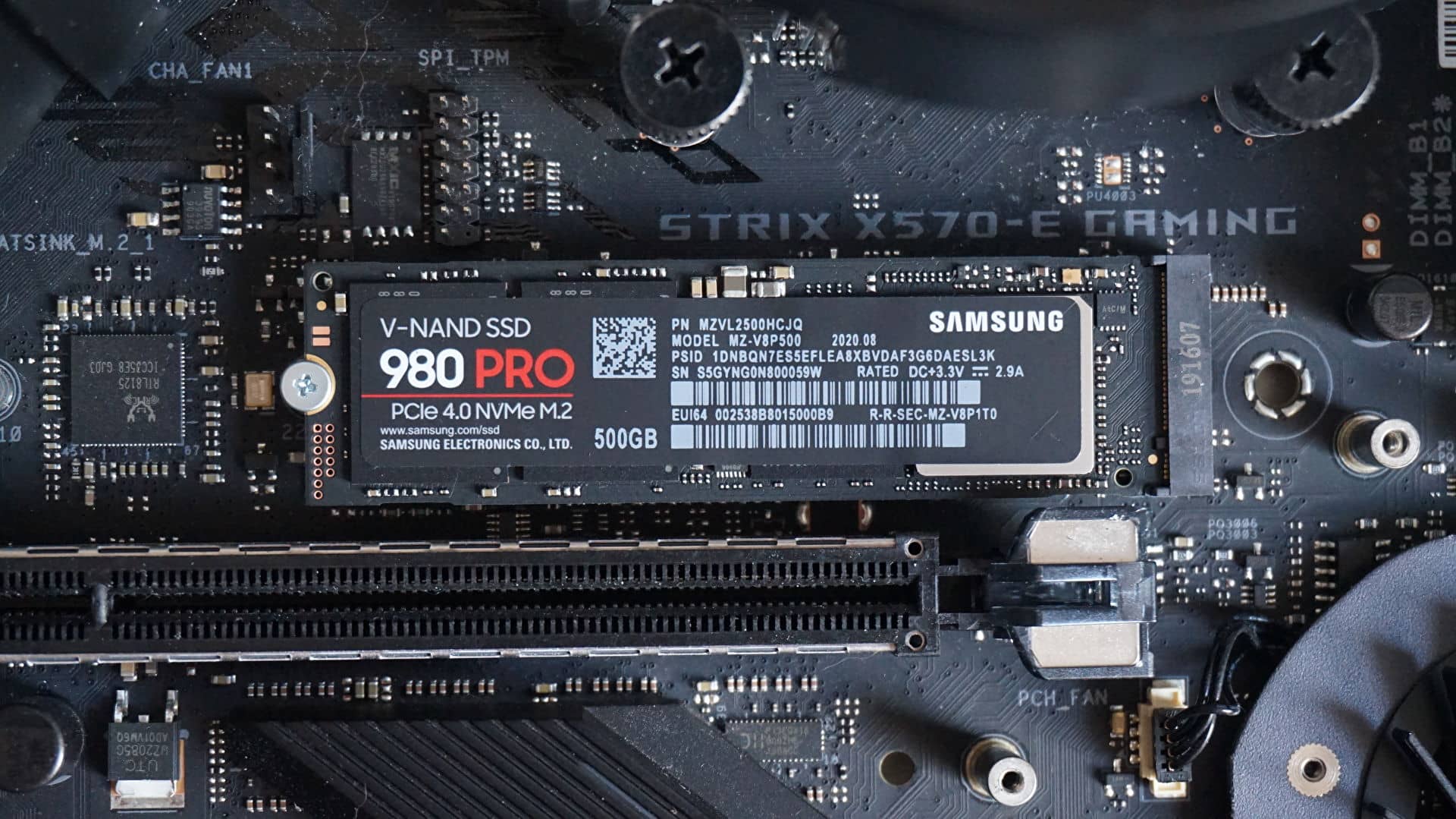 En İyi SSD Tavsiyeleri! 2022'nin En Hızlı SSD Modelleri