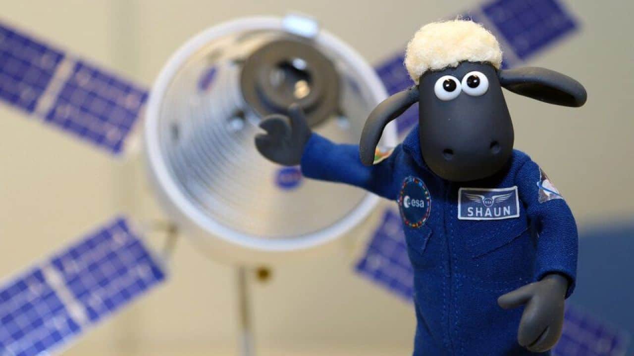 NASA, Artemis I görevinde uzaya koyun yollayacak!