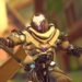 overwatch 2 ramattra karakteri