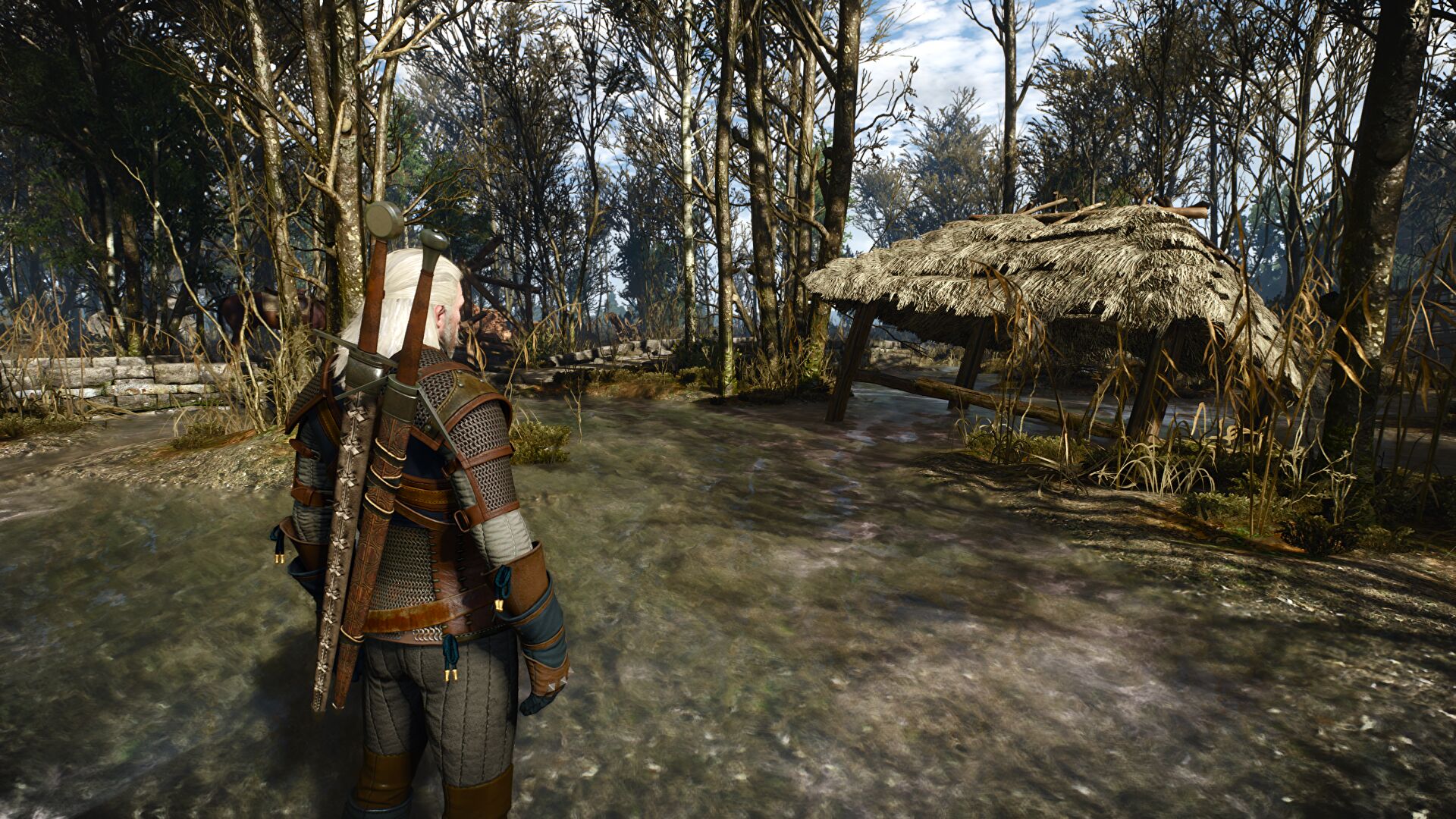The witcher 3 next gen патчи фото 93